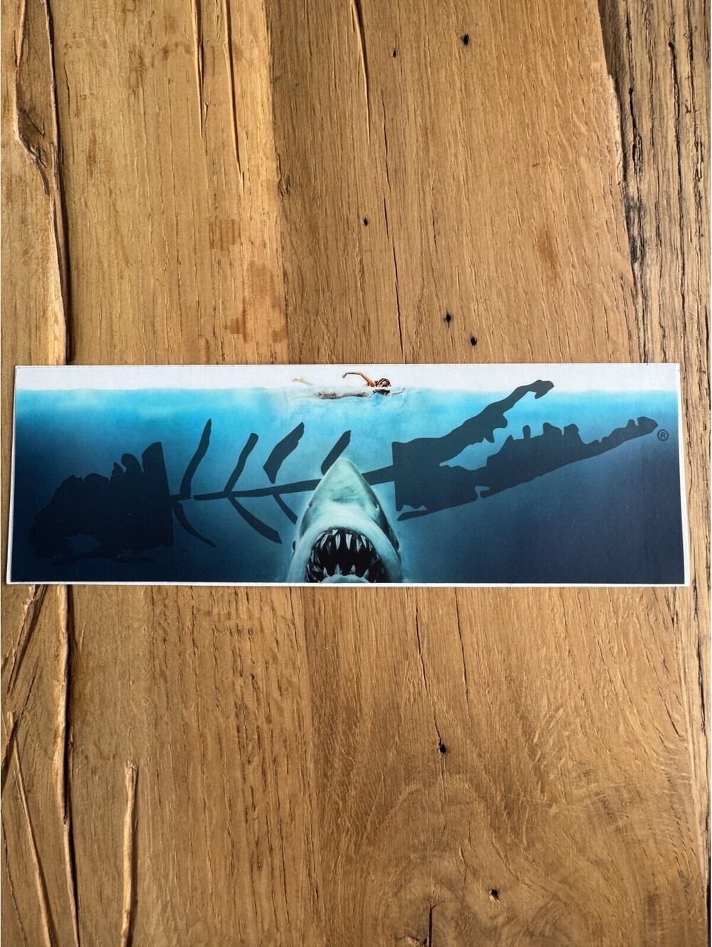 shark Skeleton Sticker Carleton LI Montauk Long Island NY New York